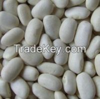white kedney beans
