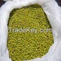 green mung beans