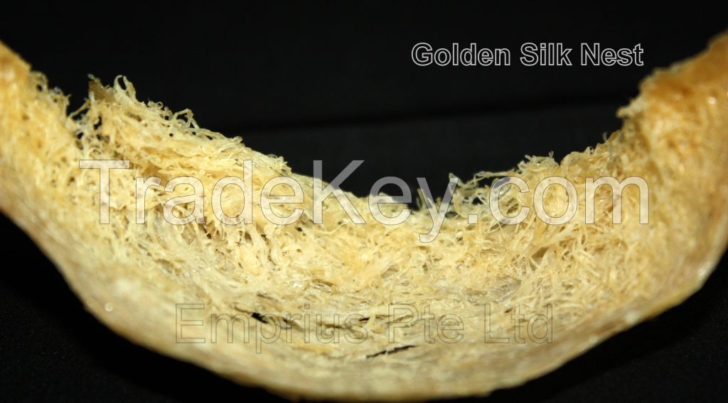 Premium Indonesia Bird Nest (5A Golden Silk Nest)