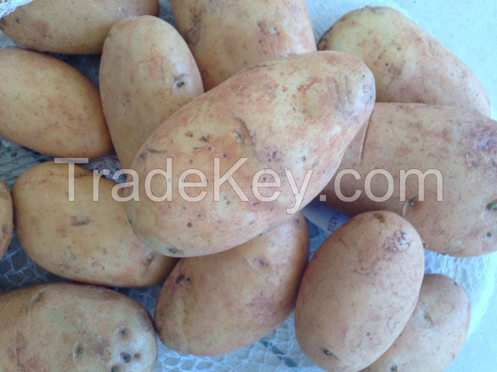 Cyprus Potatoes