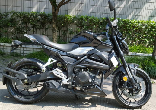 RAPTOR250 Racing Motorcycle, Cheap Motorcycle, Two Wheeler Motorcycle, Hot Sell Motorbike