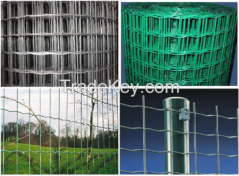 OEM low price Holland wire mesh