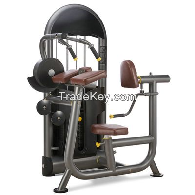 Triceps Extension gym equipment / fitness equipment