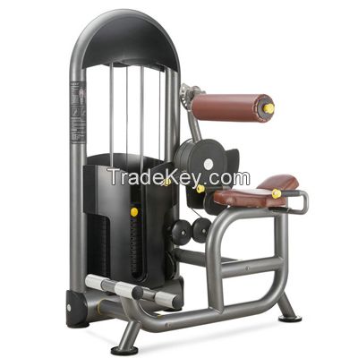 Back Extension gym equipment / fitness equipment