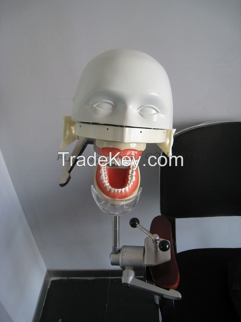 Dental Training Head Simulator Manikin