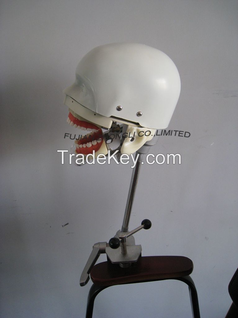 Dental Training Head Simulator Manikin