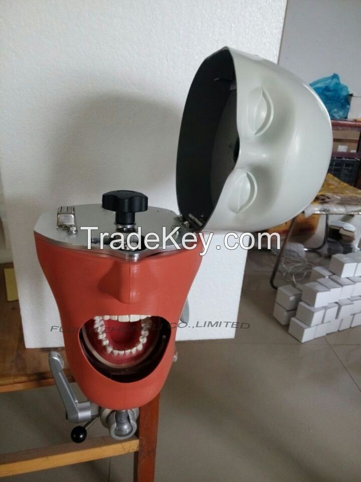 Dental Training Head Simulator Manikin