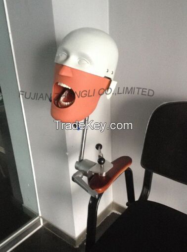 Dental Training Head Simulator Manikin