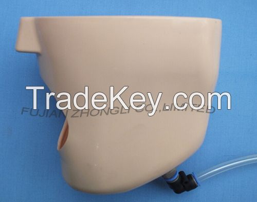 Dental Training Head Simulator Manikin