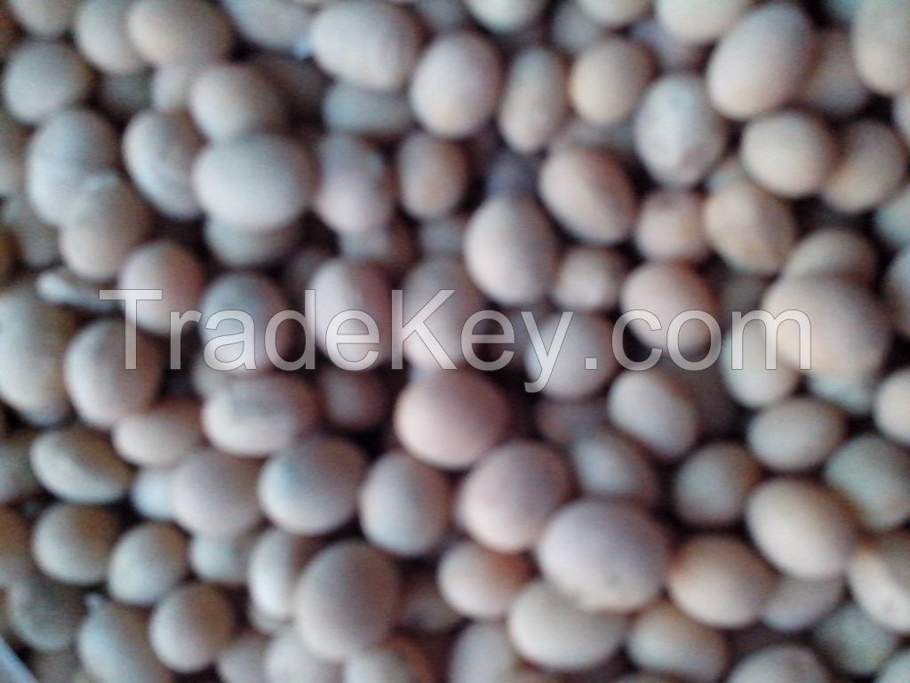 Soybeans