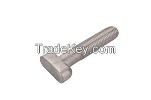 SS304 T Bolts