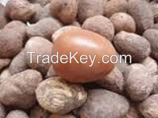 SHEA NUTS (VITELLARIA)