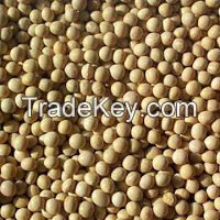 SOYA BEANS