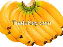 Fresh Bananas