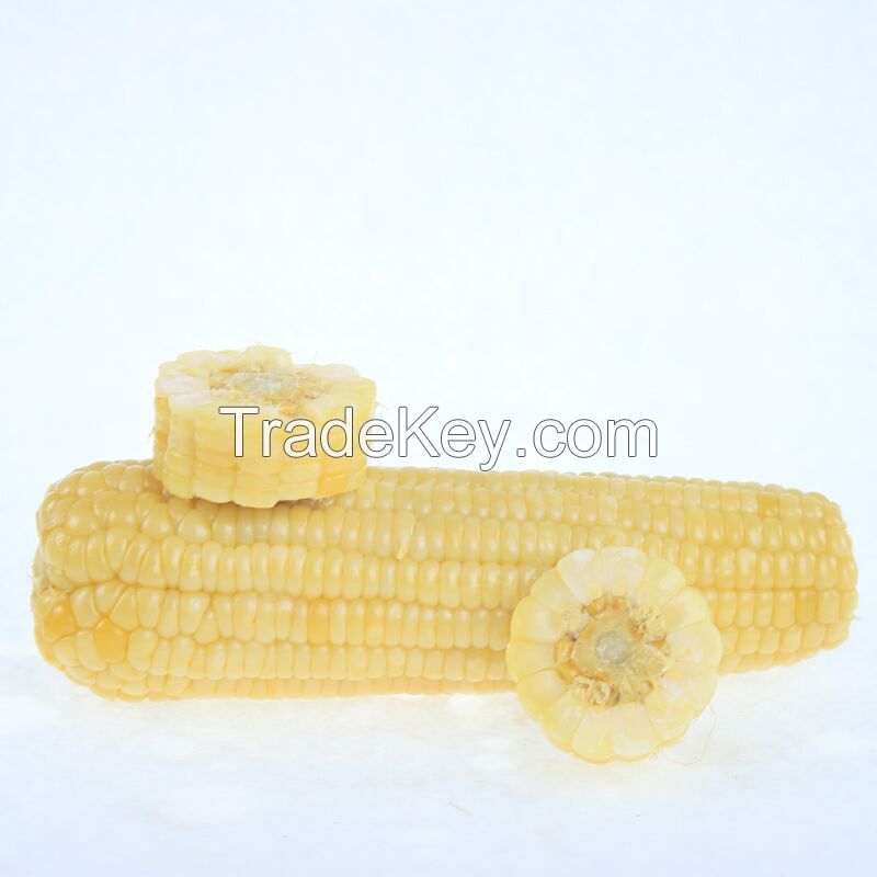 High quality Waxy corn for eating