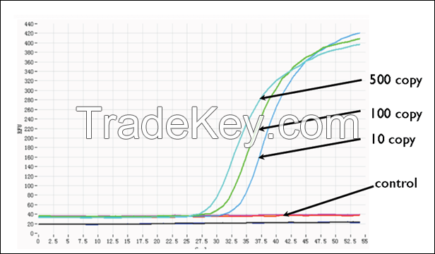 One-Step qPCR Detection Kits