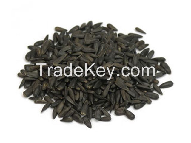 Sunflower seeds for oil production