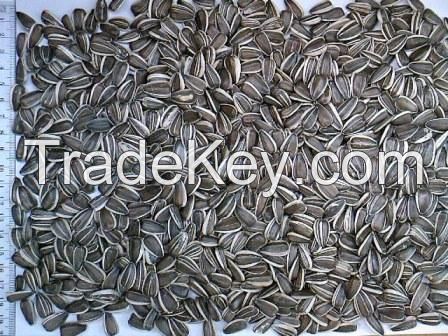 Striped sunflower seeds