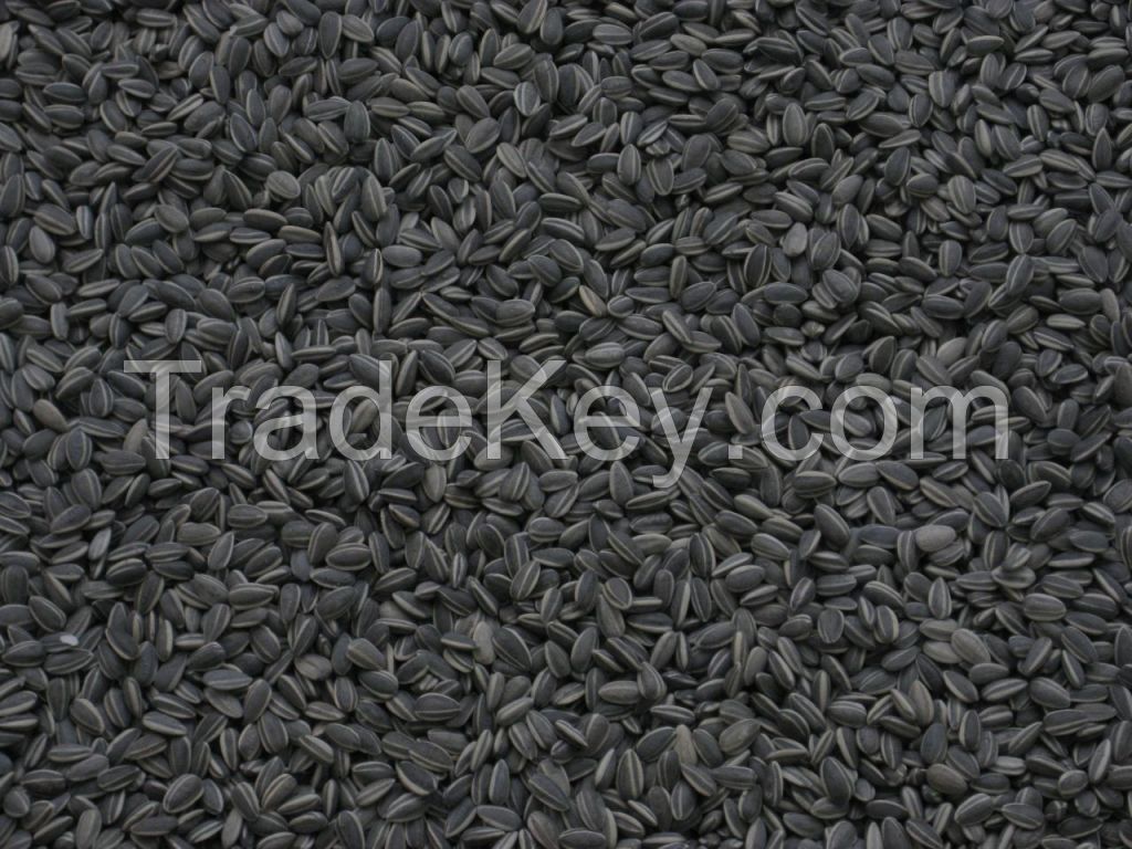 Sunflower seeds for human consumption (Black)