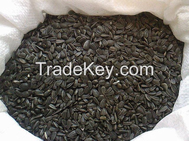 Sunflower seeds for human consumption (Black)