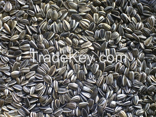 Striped sunflower seeds