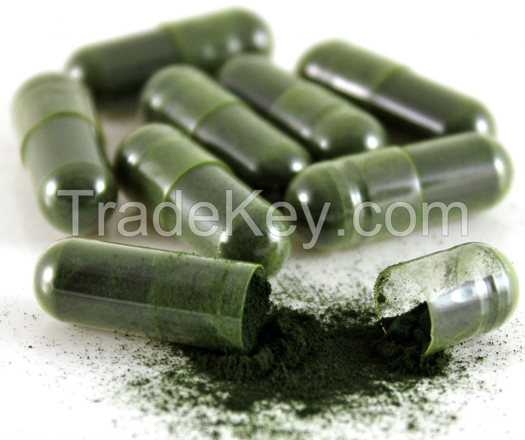 Spirulina capsule Micro-algae 100% natural