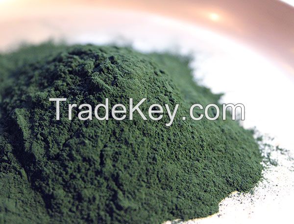 Micro-algae 100% natural Spirulina Powder 