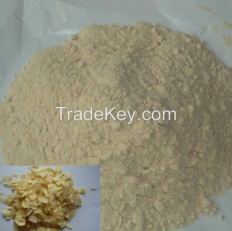 High quality garlic powder with the factory's good price