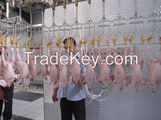 whole Halal frozen chicken and other chicken parts available