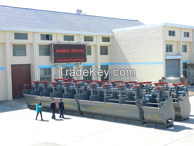 SF type flotation machine