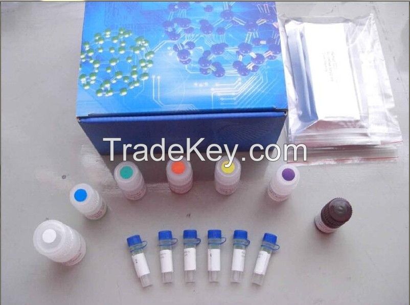 Human alpha klotho(alpha klotho) ELISA Kit