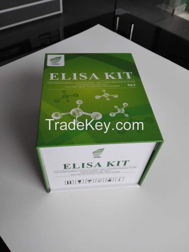 human Elisa kit