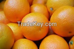 Fresh oranges