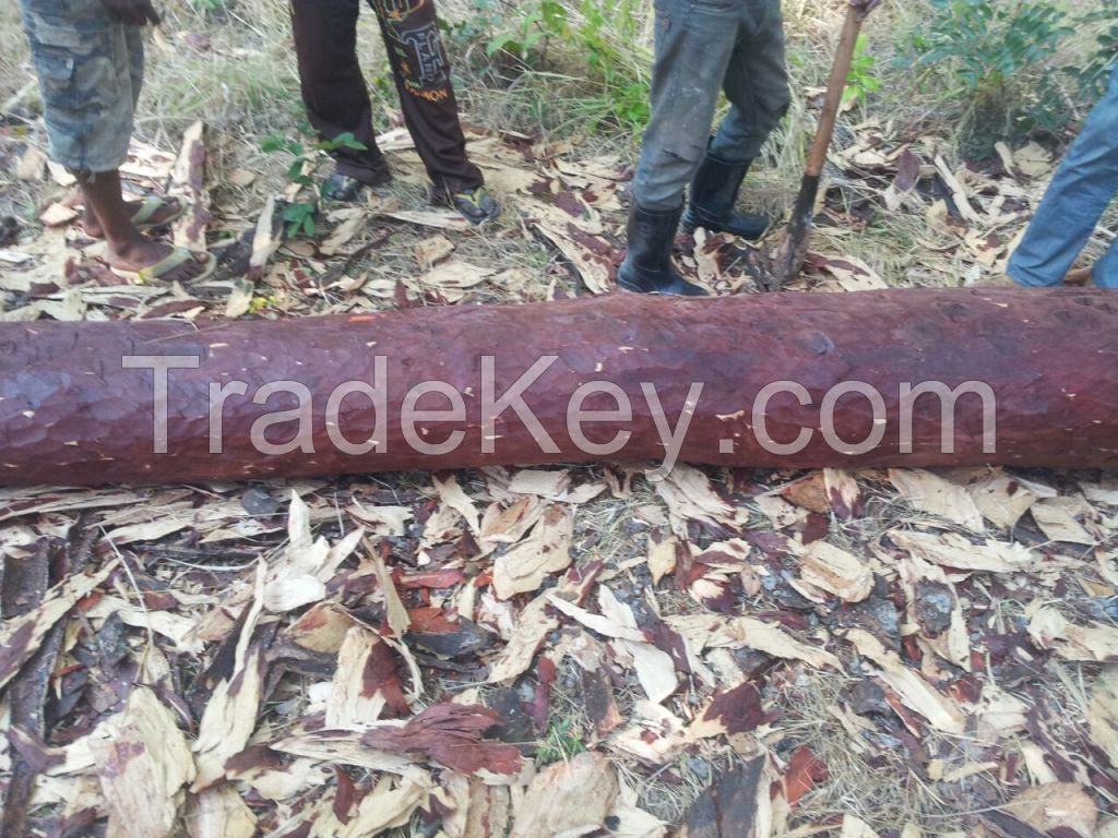 Redouk logs with bark from Cameroun