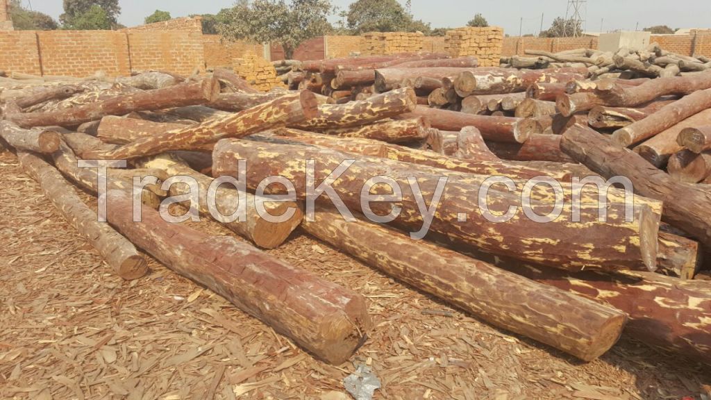 Redouk logs with bark from Cameroun