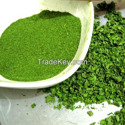 MORINGA LEAF, MORINGA LEAF POWDER, CURRY LEAF,CURRY LEAF POWDER, NEEM LEAF, NEEM LEAF POWDER