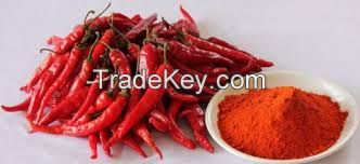 SPICES- PURE SPICE POWDER