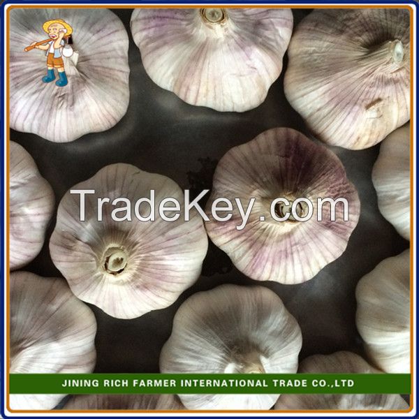 Top quality 5.0cm 450g bag snow white Chinese garlic