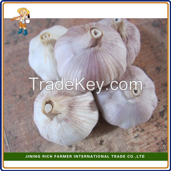 Top quality 5.0cm 450g bag snow white Chinese garlic