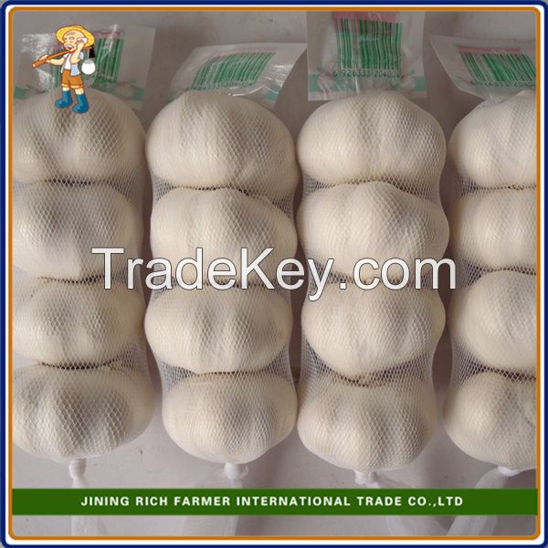 2015 New Crop Fresh Garlic packed in cartons