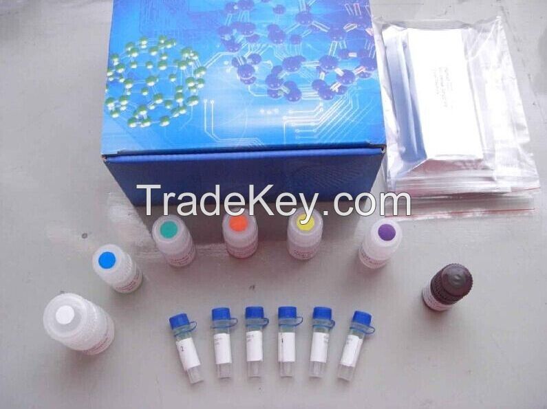 Goat Immunoglobulin G (IgG)ELISA Kit