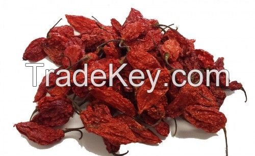 bhut jolokia