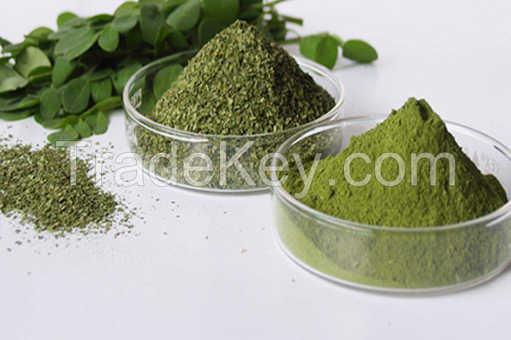 Moringa Seeds, Powder supply from India