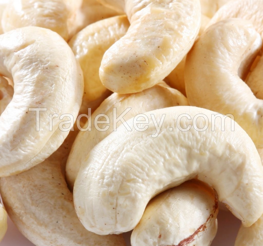 CASHEW NUTS BEST PRICES