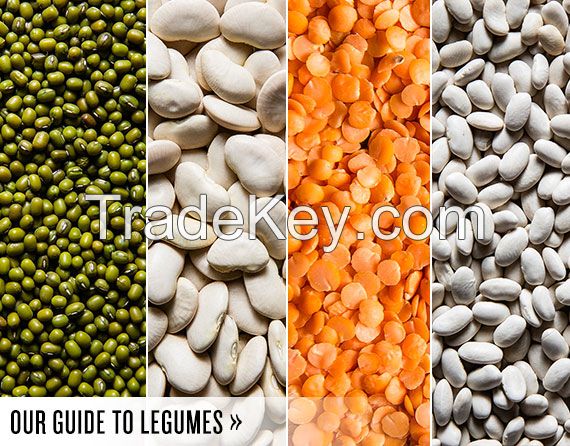 Best LEGUMES products from Turkey & Great Price and 0 Natural !