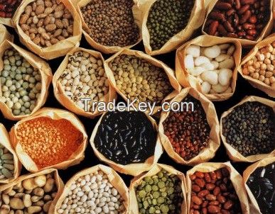 Best LEGUMES products from Turkey & Great Price and 0 Natural !