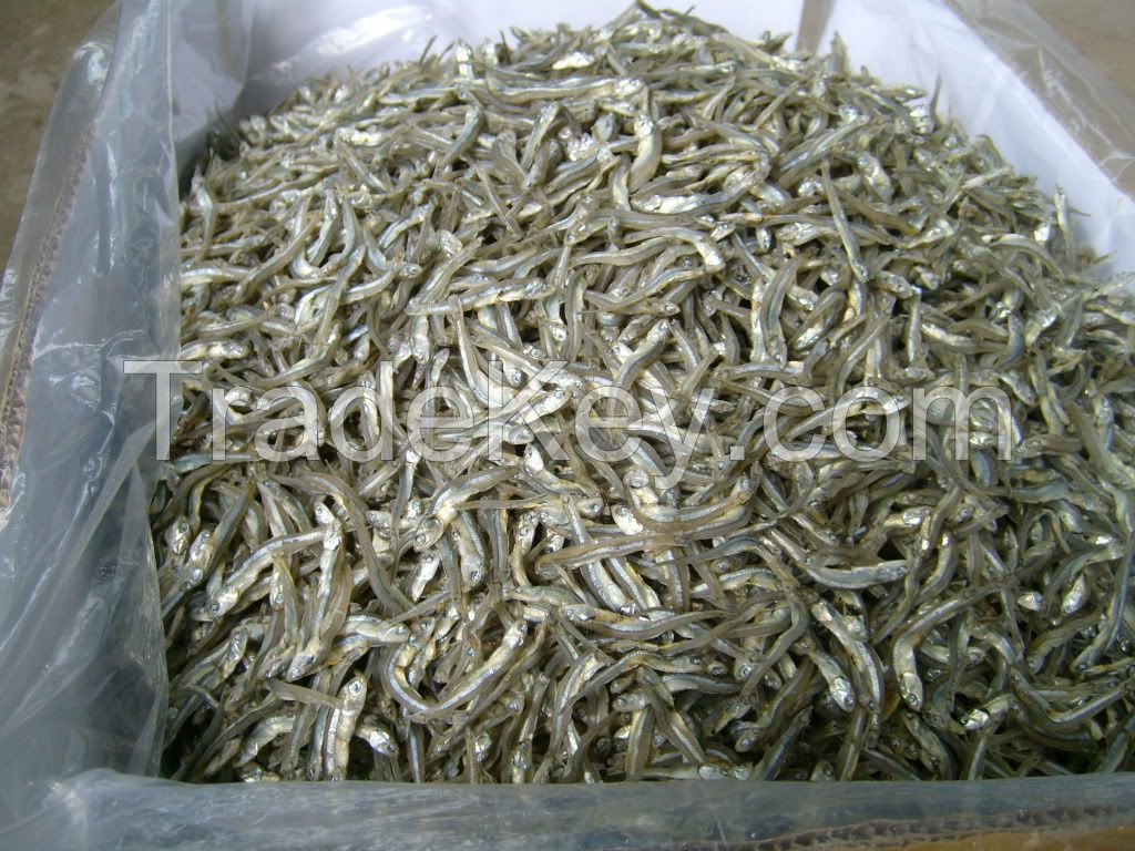 Dried Steam Anchovy