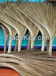 Coconut broom/ broom with wood handle/ Grass broom