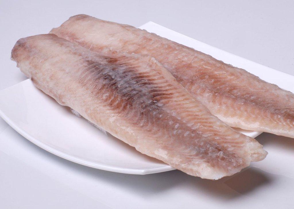 Catfish (Silurus glanis)