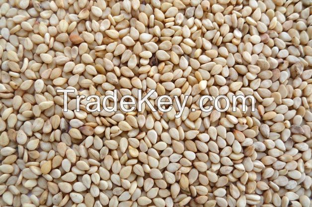 Sesame Seed | Sunflower Seed | Moringa Seeds | Poppy Seeds
